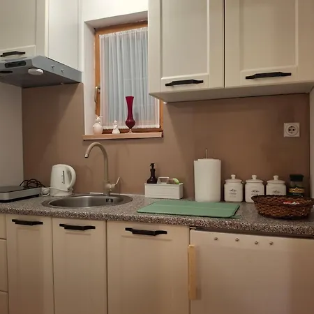 Park Apartment Lazarevac